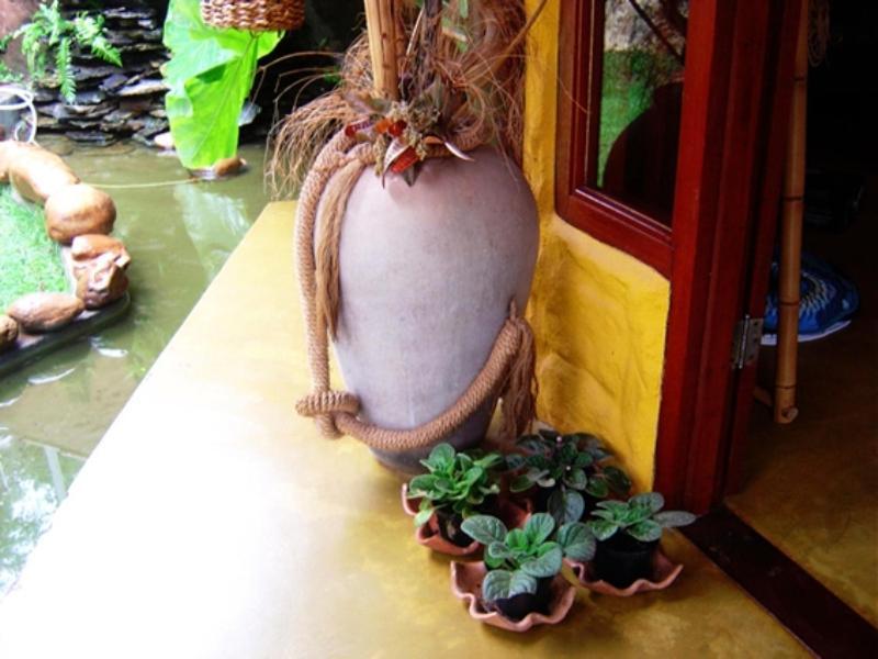 Pousada Bambu Brasil Sao Jorge  Bagian luar foto